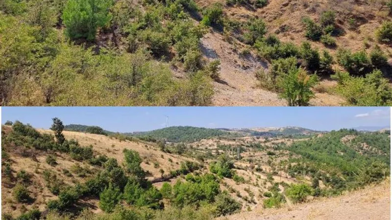 İzmir Bergama'da RES Projesi: 210 Milyon TL'lik Dev Yatırım!