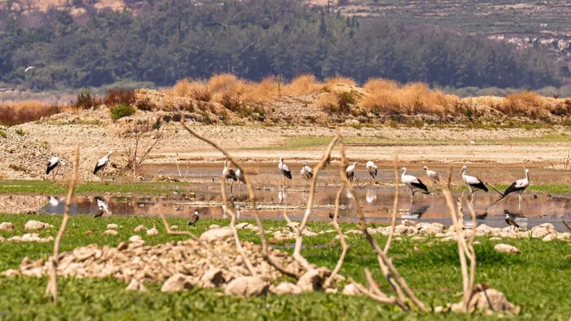 İzmir’de rakamlarla su krizi: İZSU nedenleri tek tek sıraladı