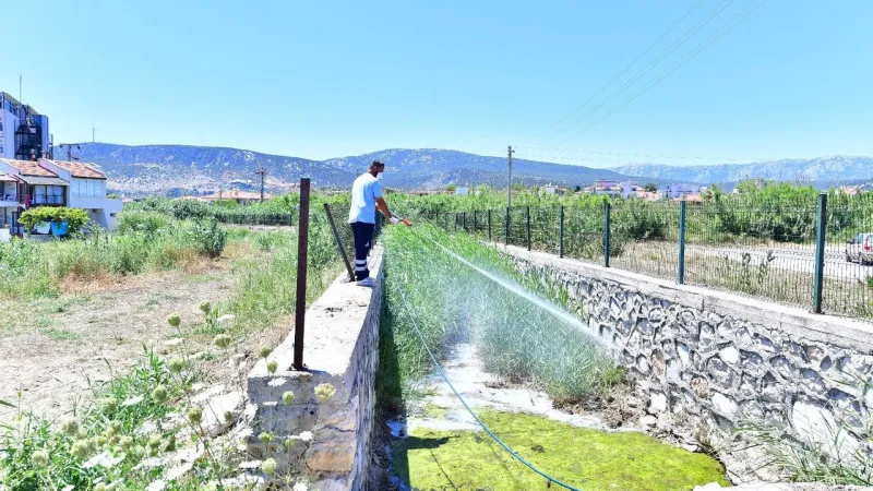 İzmir'de sinek artışı gündemde: Tugay’dan açıklama geldi