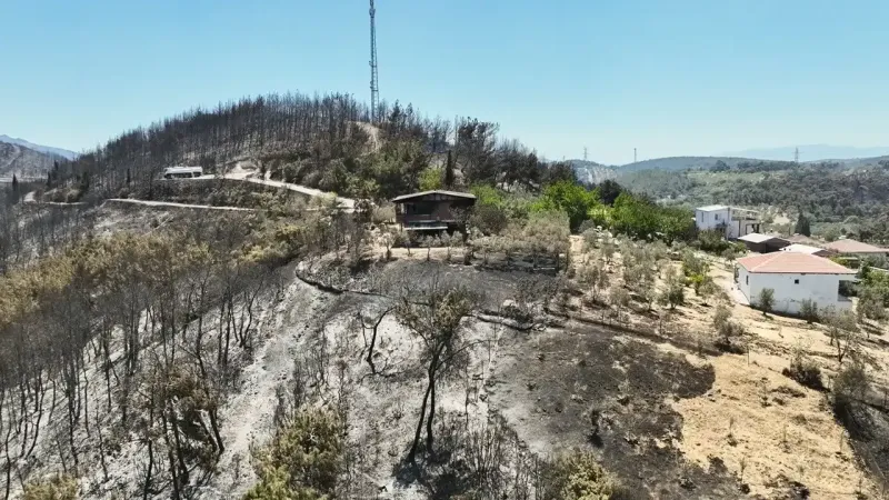 İzmir'de Yangın Yaraları Sarılıyor! Evler Yeniden Yapılıyor!