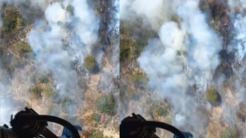 İzmir'deki orman yangını korkuttu
