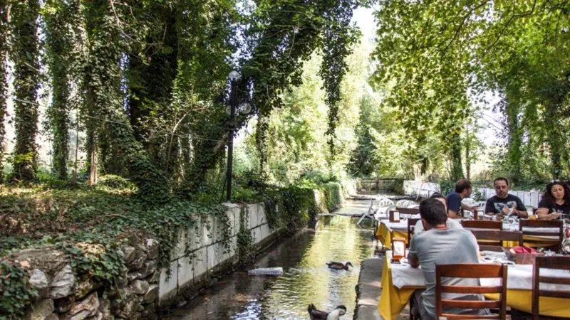 İzmir'e 2 saat uzaklıktaki 800 yıllık doğal piknik alanı: Pınarbaşı Mesire Yeri