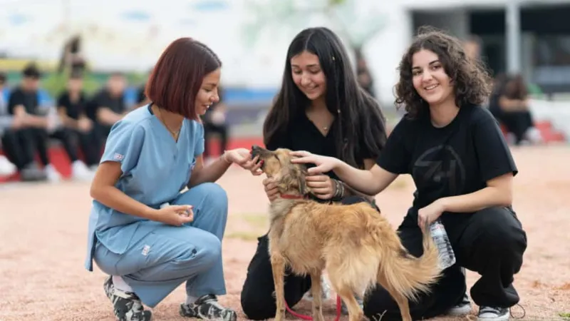 İzmir'den Can Dostlara Destek! Kötü Muameleye Son!