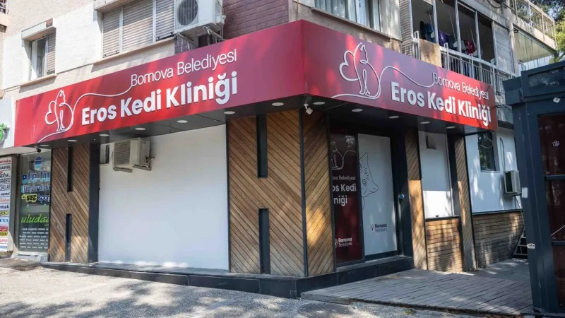 İzmir'e yeni hayvan kliniği: Yakında açılıyor, kedi Eros'un adı verilecek