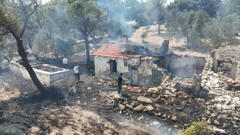 İzmir'de Korkunç Yangın! 280 Futbol Sahası Orman Kül Oldu!