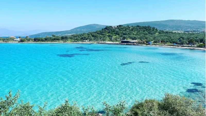 İzmir'in gözde tatil noktası Dikili'de Mavi Bayraklı 6 plaj: İşte o plajlar