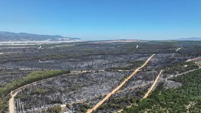 İzmir Yangın Felaketi: Tugay'dan Acil Eylem Planı!