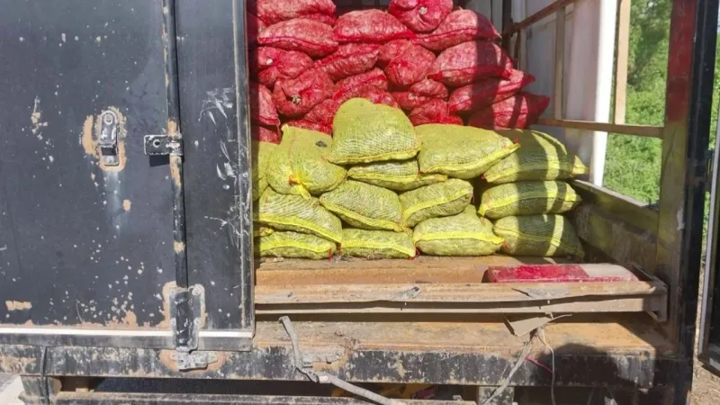 Kamyonetten 5 ton resmi evraksız deniz midyesi çıktı: 62 bin lira ceza kesildi