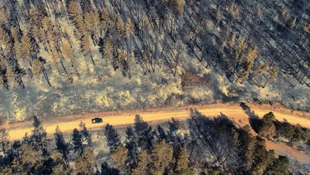 Karabük Yanıyor! Orman Yangınından Drone'la Çekilen Şoke Eden Görüntüler