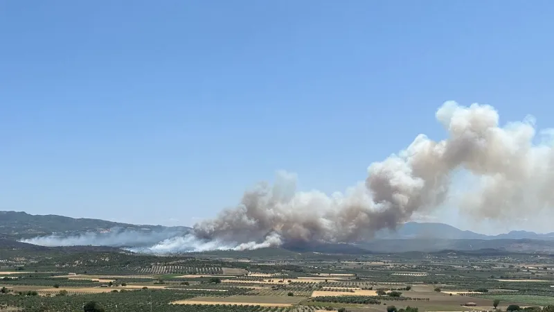 Kırkağaç yangını sabah kontrol altına alınmıştı: Rüzgâr nedeniyle tekrar başladı