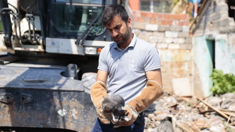 Konak’ta yıkım arasında umut: Yavru kediler yeni yuvalarını arıyor