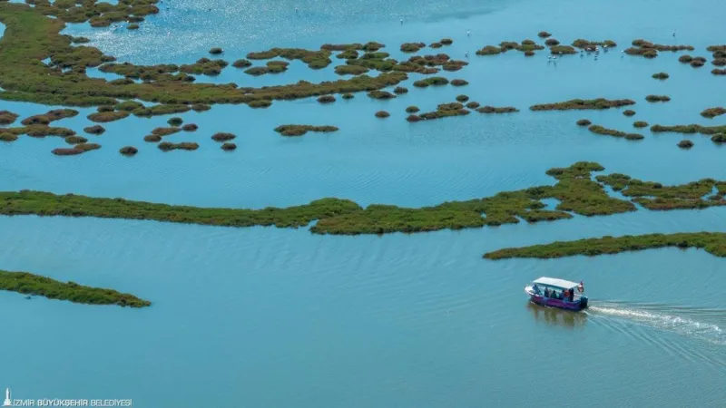 İzmir'de Flamingo Şöleni: Tekne Turuyla Kuş Cennetine Yolculuk!