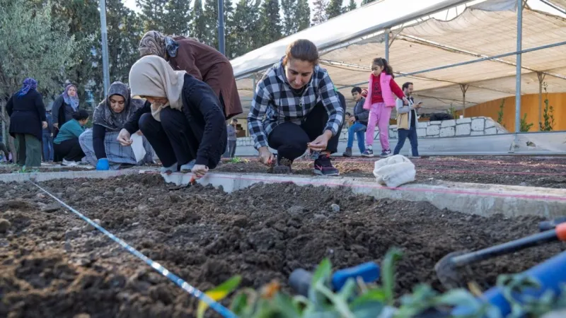 Mahalle bostanlarında kış dikimleri başladı: Kadınlar kendi hasadını üretiyor