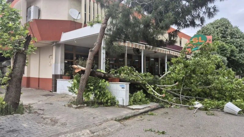 Manisa’da fırtına hayatı olumsuz etkiledi: Ağaçlar devrildi