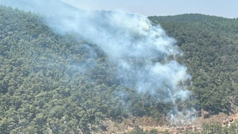 Manisa'da Orman Yangını! Alevler Kontrol Altına Alınabiliyor Mu?