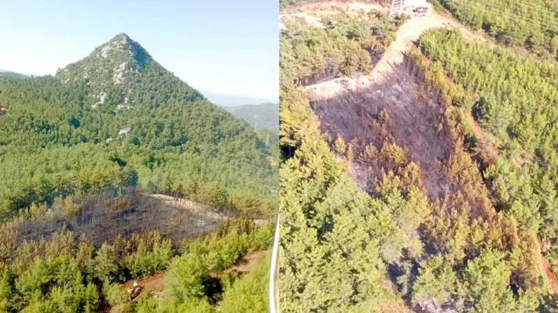 Marmaris Yeşilbelde’deki orman yangını kontrol altına alındı