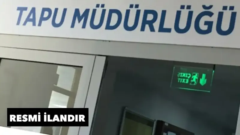 Tapu Sürprizi! Zeytin Ağaçları Kayıp mı Oldu? Şok İlan!