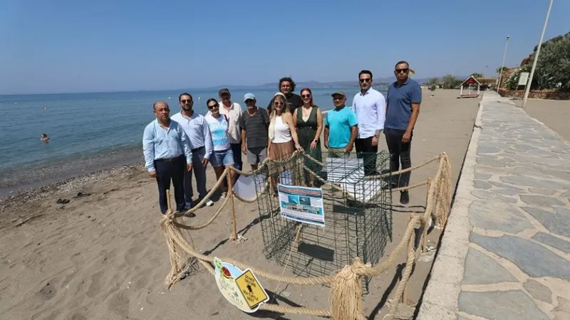 Menderes’te caretta caretta sürprizi: Yumurtalar güvende!