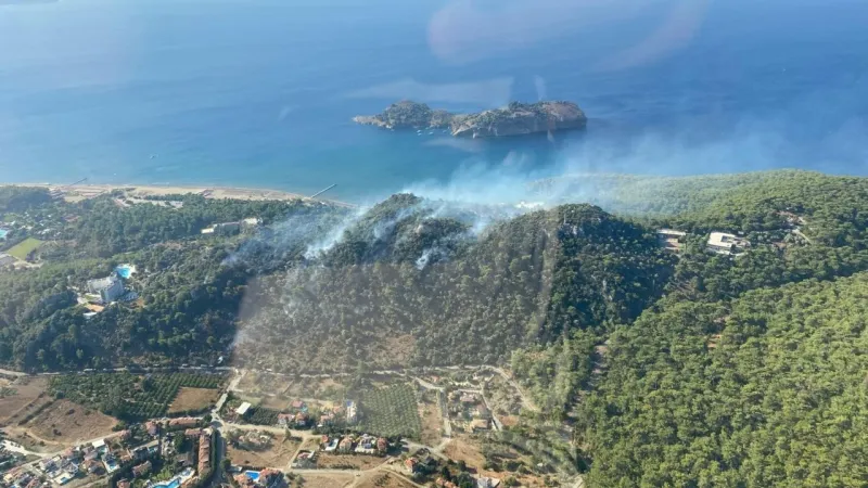 Muğla'da bir yangın daha: Müdahale devam ediyor