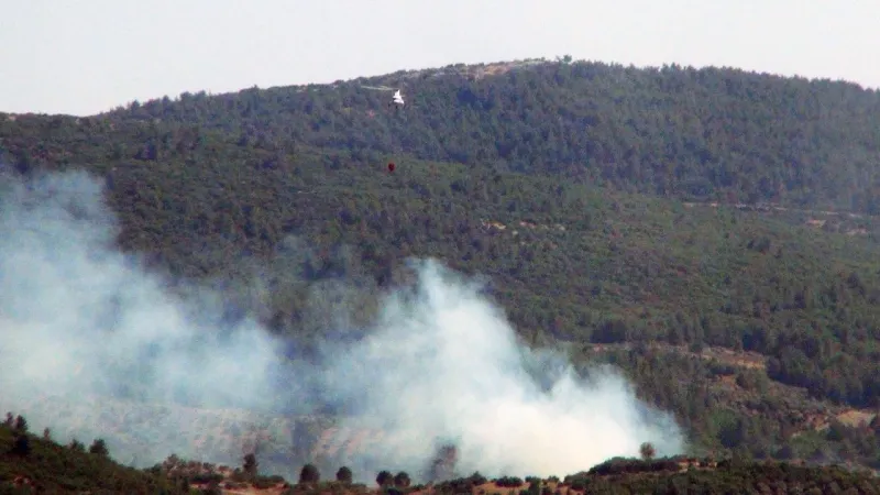Muğla'da tarım arazisinde başlayan yangın ormana sıçradı