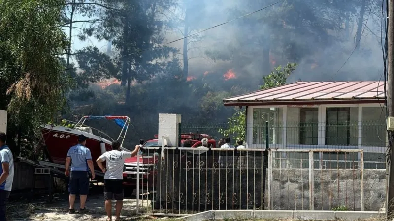 Muğla'da yerleşim alanına yakın orman yangını: Müdahale devam ediyor