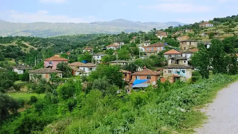 Ne boyoz ne de gevrek: İzmir'in gizli cennetinde yetişiyor, lezzeti ile coğrafi işaret almayı başardı