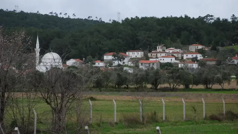 Ne Çeşme ne de Seferihisar: İzmir'de zeytin ağaçları ile kaplı, üstelik müzesi olan bir köy