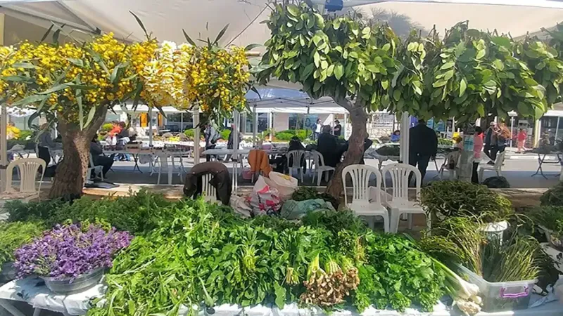 Alaçatı Ot Festivali 2025: Kaçırmayın! Gün Gün Programı