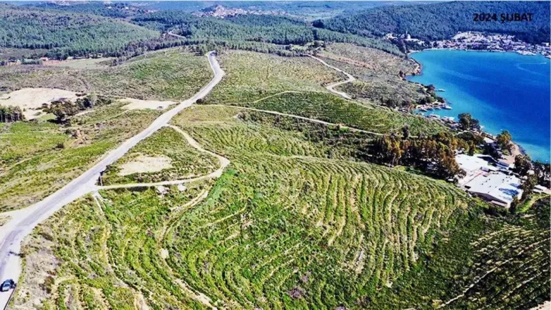 Bodrum'da Ormanlar İçin Alarm! Yangınlara Karşı Seferberlik Başladı