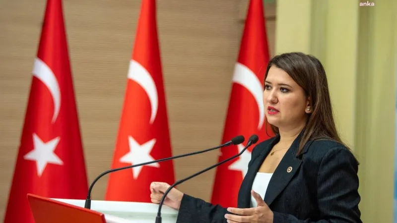 CHP'li Gökçe Gökçen'e Ne Oldu? Görevine Neden Ara Verdi?