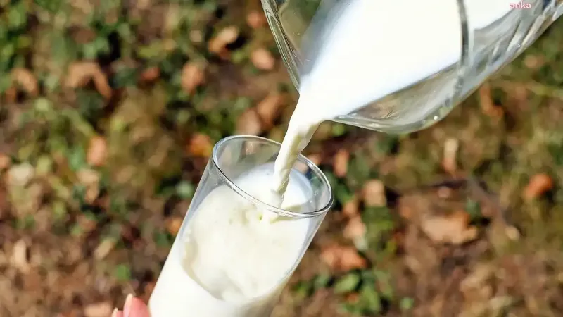 Çiğ süt sektöründe kriz, CHP'li vekil açıkladı: Üretici her litre başına 8 TL zarar ediyor
