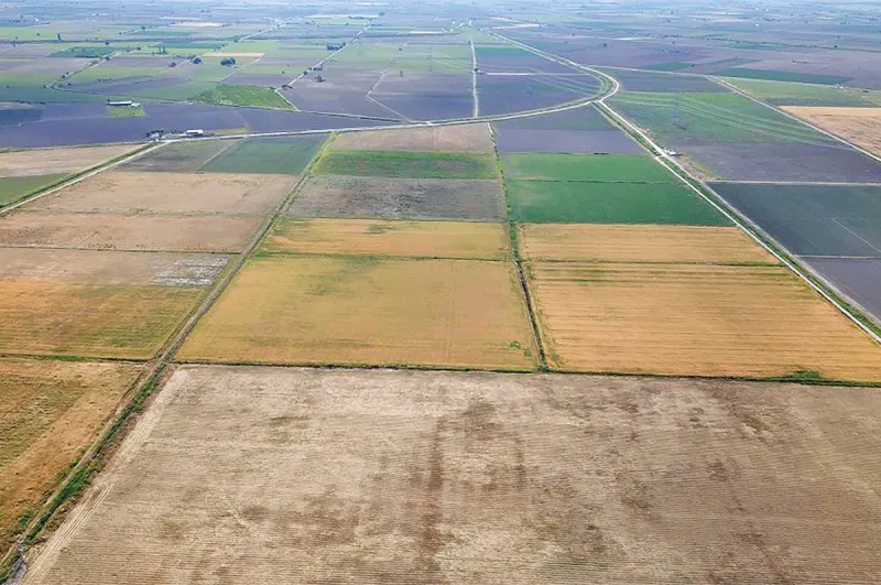 İzmir'den Dünyaya Örnek Proje! Tıbbi Bitki OSB Geliyor
