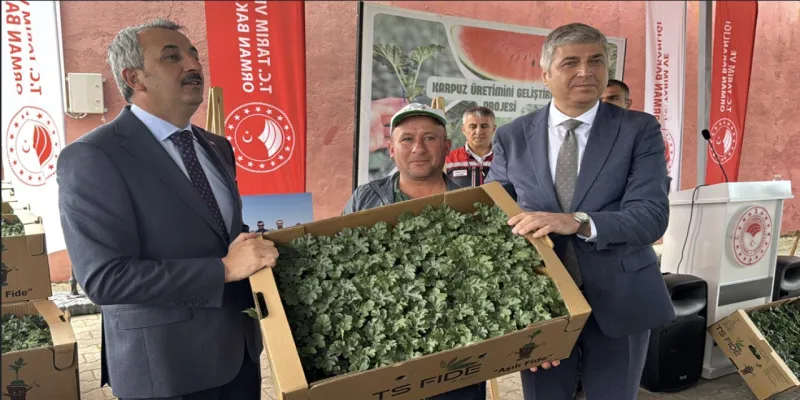 Edirne'de Karpuz Hasadı Bereketli Mi Geçecek? Çiftçinin Yüzü Gülecek!