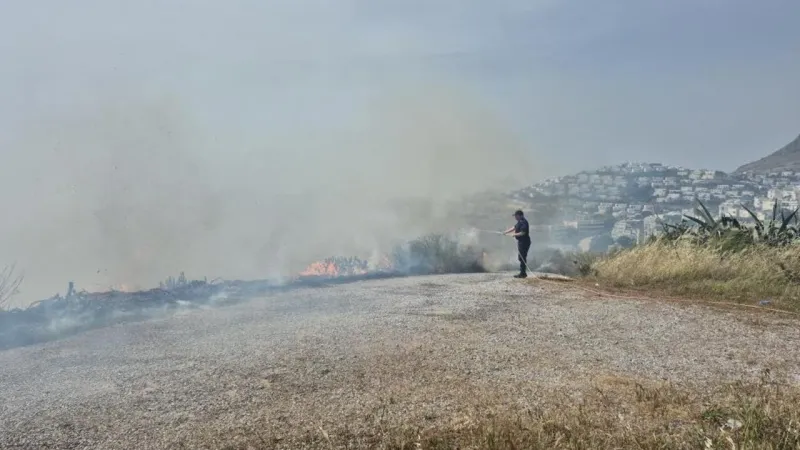 Bodrum'da Korkunç Yangın! Elektrik Telleri Felakete Mi Yol Açtı?