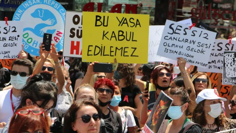 Fevziye Özkan'dan Sokak Hayvanları İçin Şok Çözüm: 2 Yılda Biter!