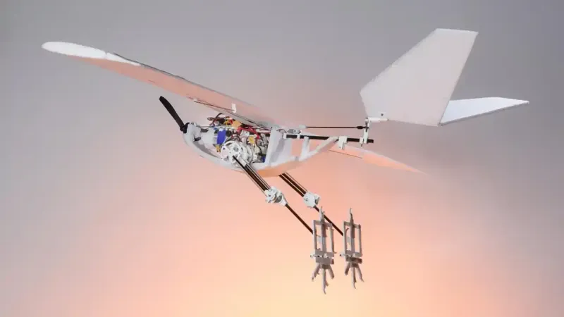 Dron Uçurmak Bu Kadar Pahalı mı? Manavgat'ta Şok Ceza!