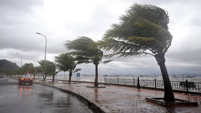 İzmir Alarmda: Fırtına Geliyor! 16-17 Mayıs'ta Dikkat!