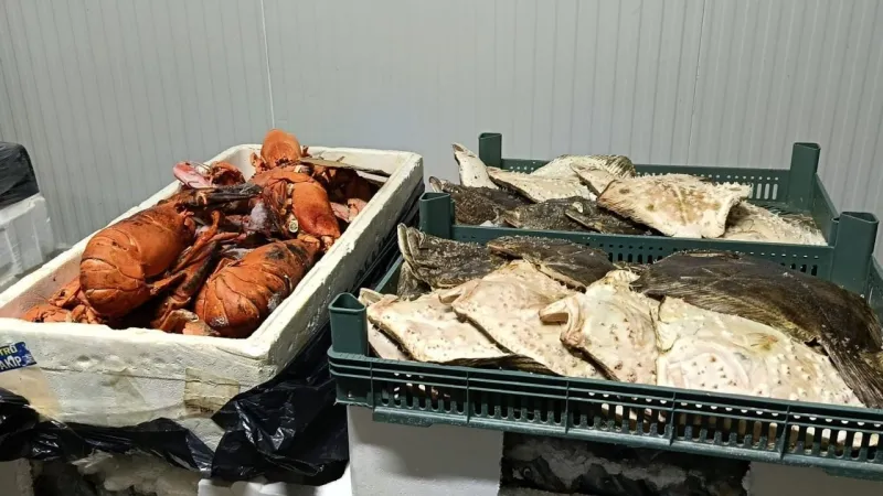 İzmir'de Usulsüz Avcılığa Şok Ceza! Balıkçılar Ne Yaptı?