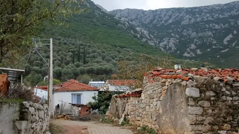 İzmir'in Saklı Lezzeti: Kösedere Köyü'nde Yemek Şöleni!