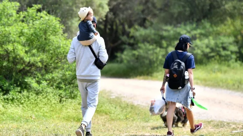 İzmir'de Doğa Şöleni! Parkta Etkinlik Var, Kuşlar Uçuşuyor!
