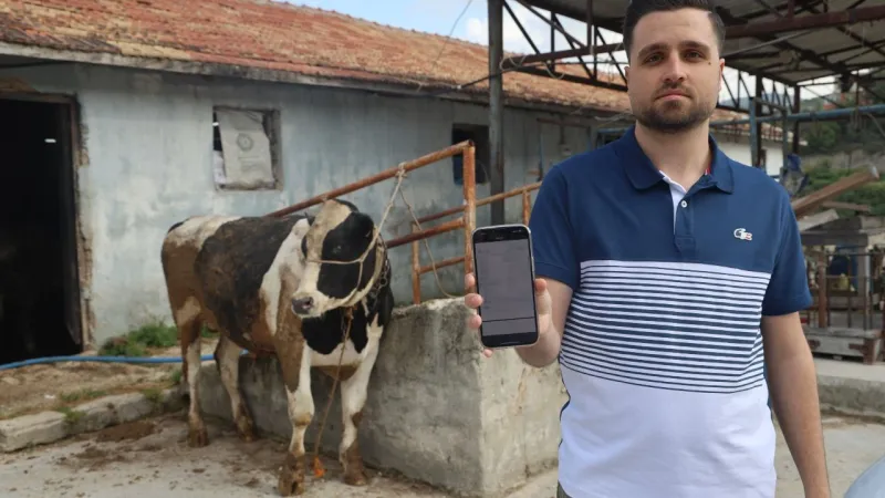 Kurbanlık Tosun Tuzağı! 200 Bin TL'lik Dolandırıcılık Şoku
