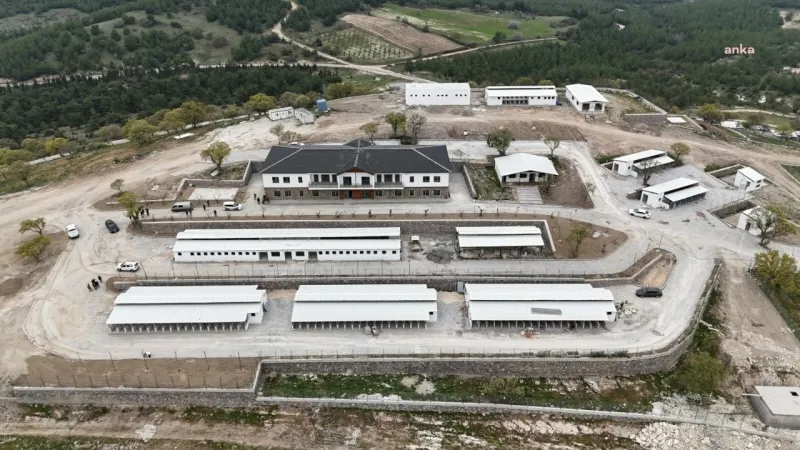 Manisa'da Can Dostlara Müjde! Hayvan Yaşam Merkezi Açılıyor