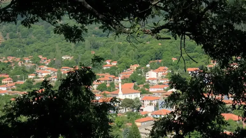 Bozdağ Yaylası: İzmir'de Saklı Cennet! Piknik ve Serinlik Keyfi