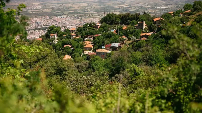 İzmir'in Saklı Cenneti: Emekliler Tire'ye Akın Ediyor! Şok Neden?