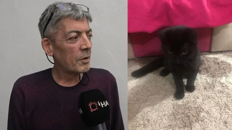 Kedi Hırsızlığı Kamerada: Kuyruğundan Tutup Kaçırdı!