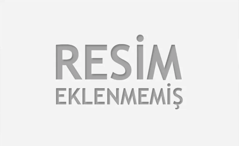 Troller ve Kurumsallaşan Trolleşme: Topluma Etkileri Neler?