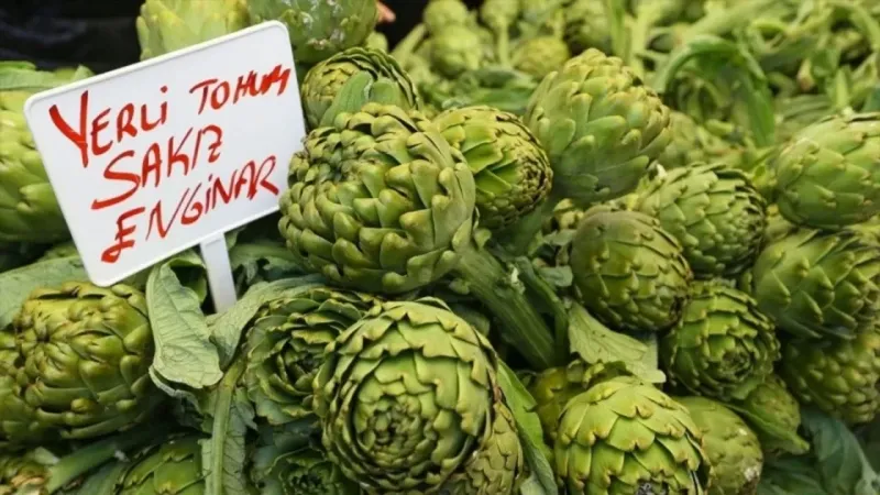 Urla Enginar Festivali Coşkusu Başlıyor! Kaçırmayın!