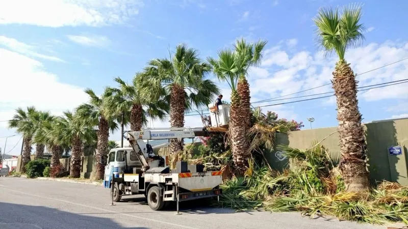Parklar, sahiller, yeşil alanlar: Urla’da sezon öncesi yoğun mesai
