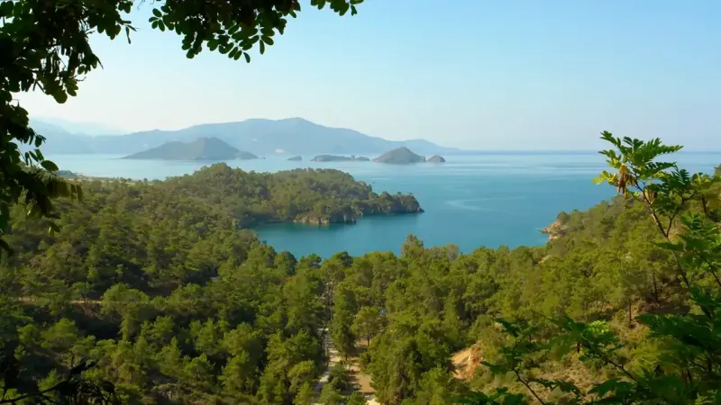 Resmi Gazete'de yayımlandı: Deniz kenarındaki ormanlık alanlar turizme açılıyor