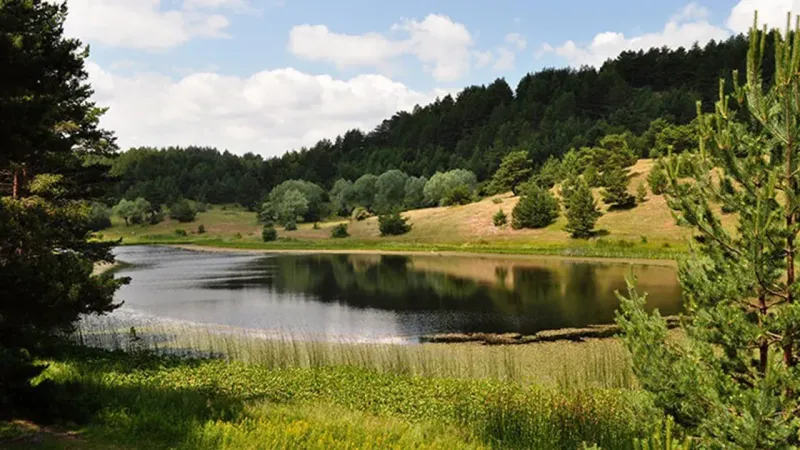 Sıcaklıklar artıyor: Bir ile daha orman yasağı geldi